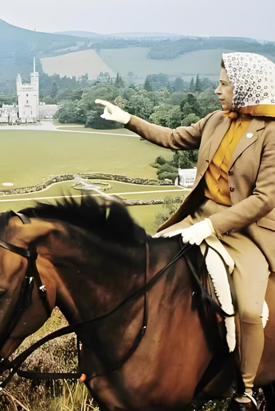 女王与国家 2022