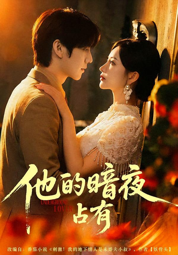 他的暗夜占有